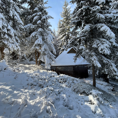Winter playhouse surrounded by snow-covered pines Baisoara